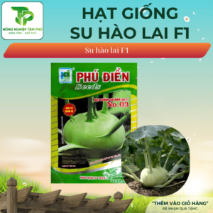 Hạt giống Su Hào lai F1 No.03