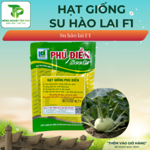 Alternative view of Hạt giống Su Hào lai F1 No.03