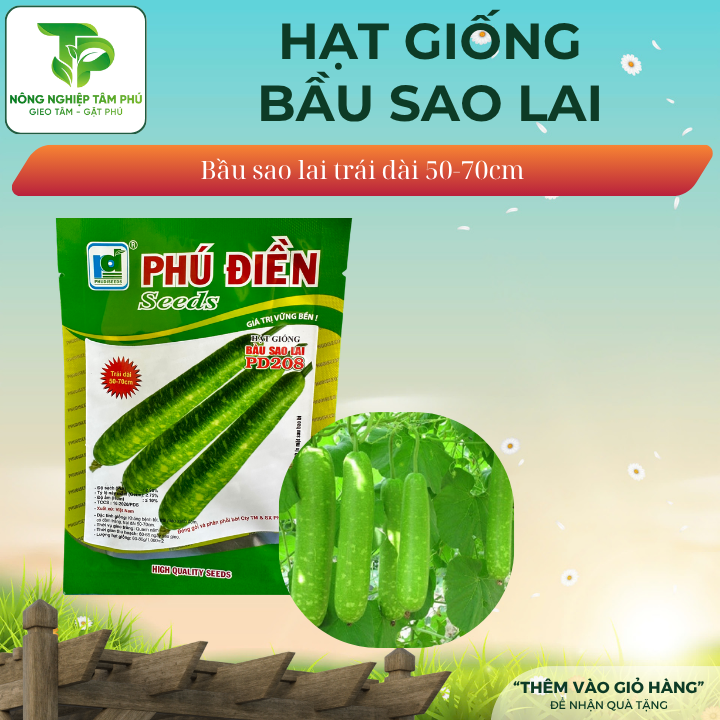Hạt giống bầu sao trái dài PD208