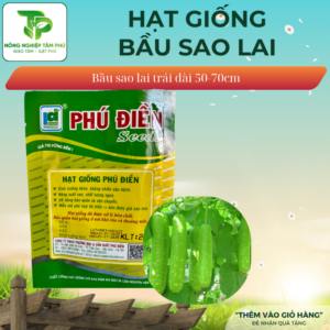 Alternative view of Hạt giống bầu sao trái dài PD208