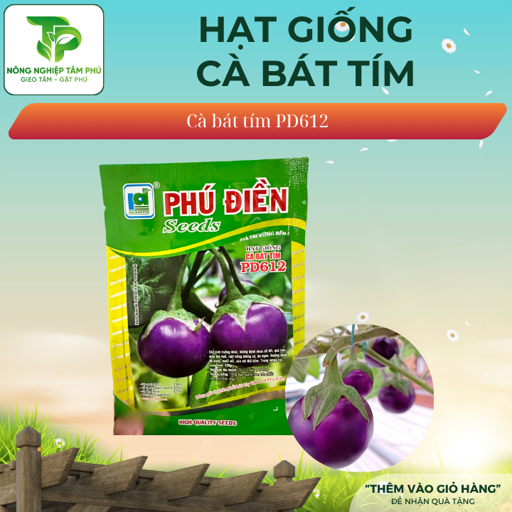 Hạt giống Cà bát tím trái tròn PD612