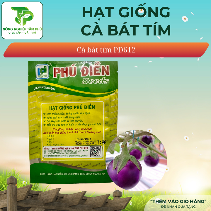Hạt giống Cà bát tím trái tròn PD612 - Ảnh 2