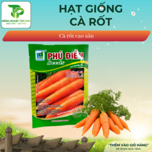 Hạt giống Cà rốt
