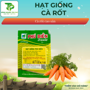 Alternative view of Hạt giống Cà rốt