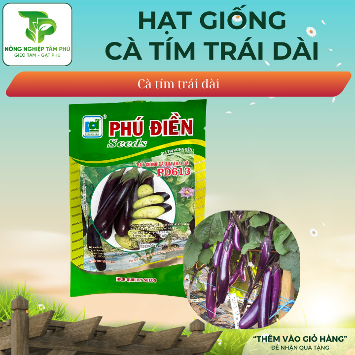 Hạt giống cà tím dài xanh cơm PD127