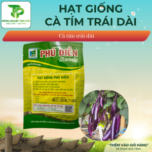 Alternative view of Hạt giống cà tím dài xanh cơm PD127