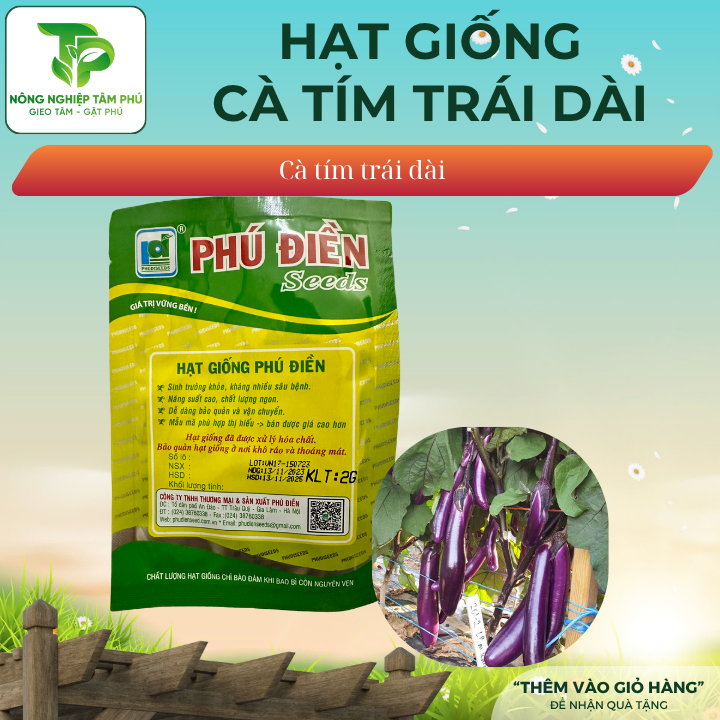 Hạt giống cà tím dài xanh cơm PD127 - Ảnh 2