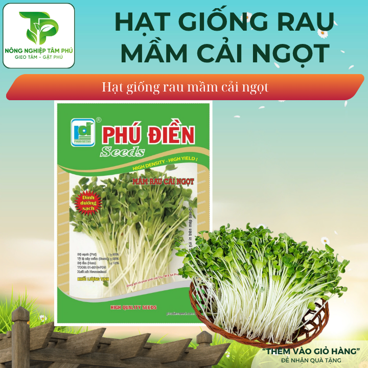 Hạt giống rau mầm rau cải ngọt