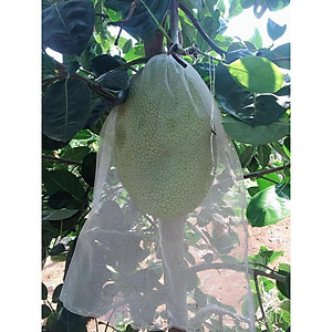 Alternative view of Túi bọc quả, túi bọc trái cây bằng vải không dệt - tái sử dụng được nhiều lần giúp bảo vệ quả, hạn chế côn trùng cắn phá