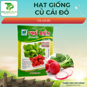 Hạt giống củ cải đỏ F1 PD338