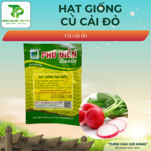 Alternative view of Hạt giống củ cải đỏ F1 PD338
