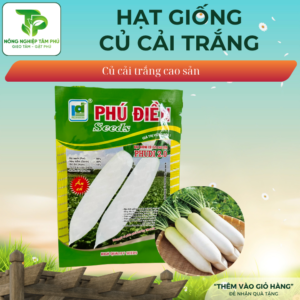Hạt giống củ cải đường F1 PHUDI 2.0