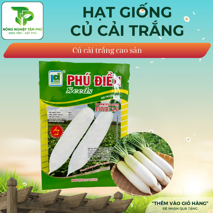 Hạt giống củ cải đường F1 PHUDI 2.0