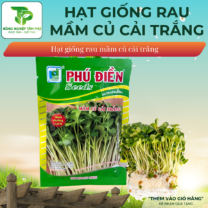 Hạt giống rau mầm củ cải trắng