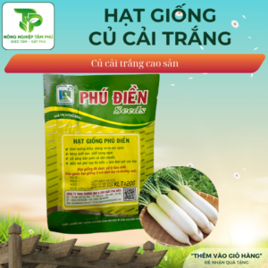 Alternative view of Hạt giống củ cải đường F1 PHUDI 2.0