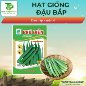 Hạt giống đậu bắp xanh OP