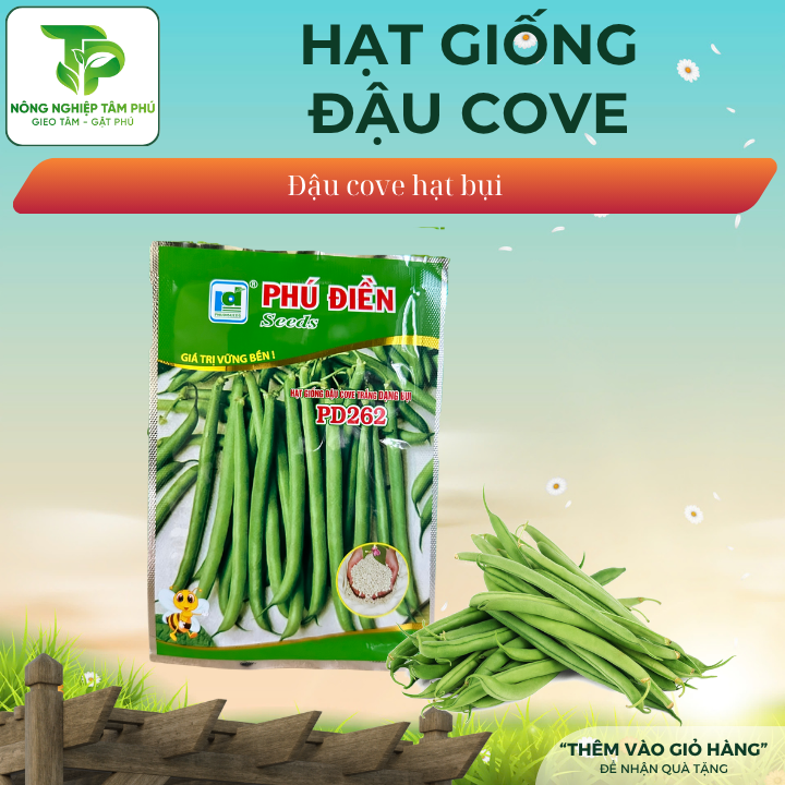Hạt giống đậu cove bụi hạt trắng PD262