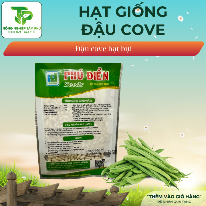 Hạt giống đậu cove bụi hạt trắng PD262 - Ảnh 2