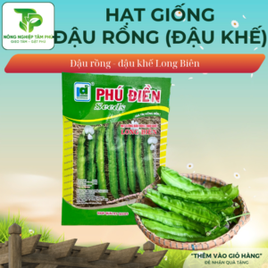 Hạt giống đậu rồng (Đậu khế) Long Biên