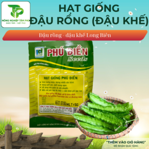 Alternative view of Hạt giống đậu rồng (Đậu khế) Long Biên