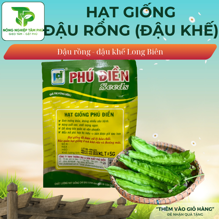 Hạt giống đậu rồng (Đậu khế) Long Biên - Ảnh 2
