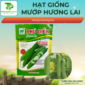 Hạt giống mướp hương lai F1 PD333