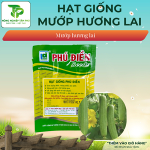 Alternative view of Hạt giống mướp hương lai F1 PD333