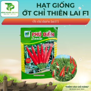 Hạt giống ớt chỉ thiên lai F1 – VIFON686
