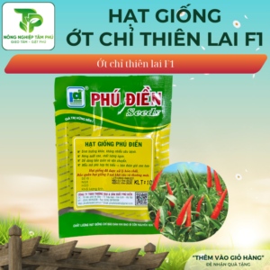 Alternative view of Hạt giống ớt chỉ thiên lai F1 – VIFON686