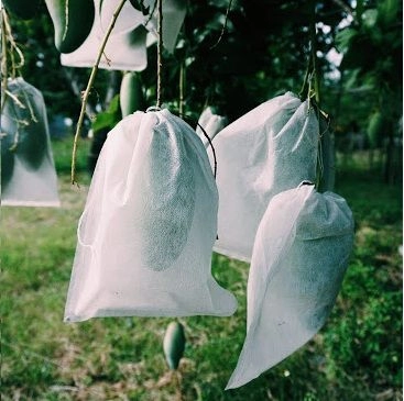 Túi bọc quả, túi bọc trái cây bằng vải không dệt - tái sử dụng được nhiều lần giúp bảo vệ quả, hạn chế côn trùng cắn phá - Ảnh 4