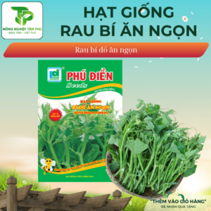Hạt giống bí siêu ngọn hạt to PD686
