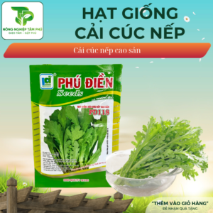 Hạt giống cải cúc nếp cao sản