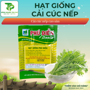 Alternative view of Hạt giống cải cúc nếp cao sản