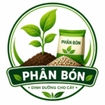 Phân bón