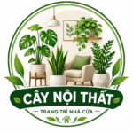 Cây nội thất