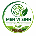 Chế phẩm sinh học/men vi sinh