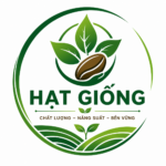 Hạt giống