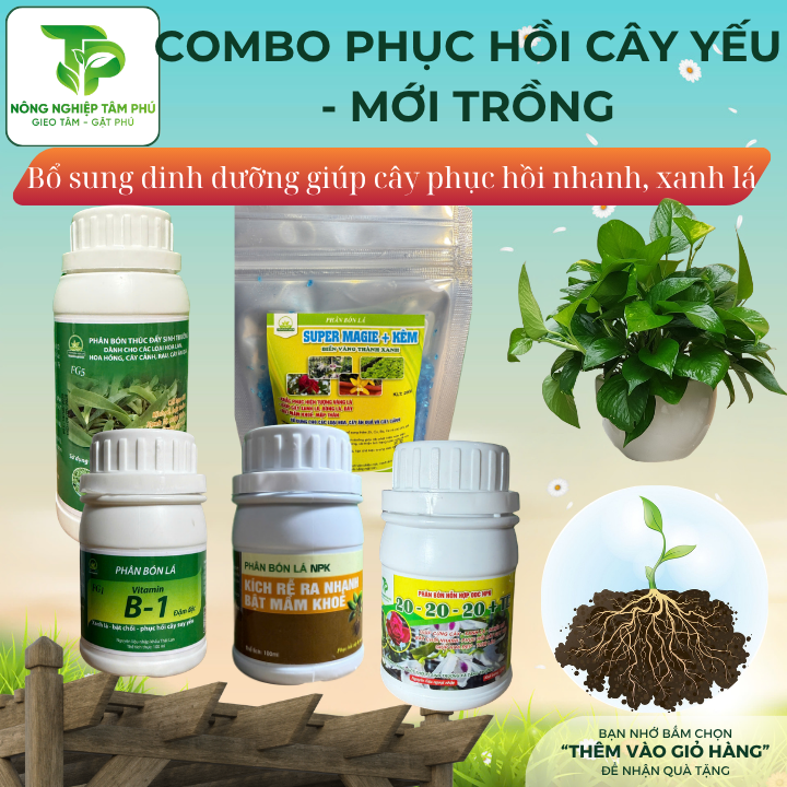 Combo PHỤC HỒI CÂY SUY YẾU/ MỚI TRỒNG giúp cây kích rễ nhanh, bật mầm chồi khỏe, xanh lá