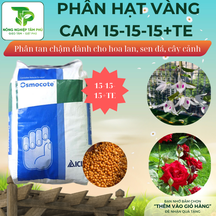 Phân tan chậm hạt vàng Osmocote 14-14-14 giúp cây xanh lá, bật mầm khỏe dùng hoa cho hoa lan, hoa hồng, sen đá, cây cảnh, sen đá - Ảnh 2