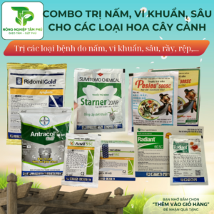Combo TRỊ NẤM, VI KHUẨN, SÂU, RỆP,... như vàng lá, thối nhũn, phấn trắng, sâu xanh, rệp, bọ trĩ dành cho cấc loại hoa, cây cảnh