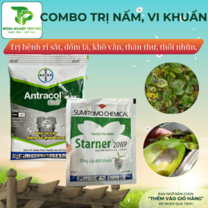 Alternative view of Combo TRỊ NẤM, VI KHUẨN, SÂU, RỆP,... như vàng lá, thối nhũn, phấn trắng, sâu xanh, rệp, bọ trĩ dành cho cấc loại hoa, cây cảnh