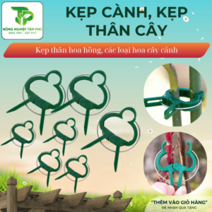 Kẹp cố định cành cây, hoa, các loại dưa chuột, cà tím, cây thân leo mà không ảnh hưởng đến thân cây khi phát triển