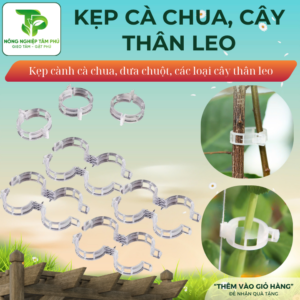 Kẹp cố định thân cây leo, kẹp dây cố định cây thân leo như hoa hồng, bầu, bí, dưa chuột các loại cây thân leo tiện lợi