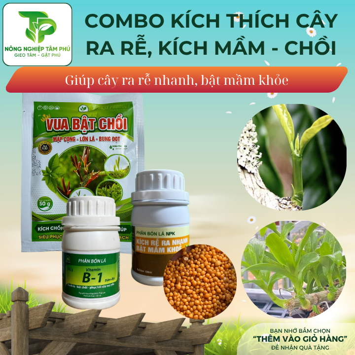 Combo KÍCH RỄ, KÍCH MẦM, KÍCH CHỒI giúp cây ra rễ nhanh, bật chồi khỏe dành cho các loại hoa cây cảnh