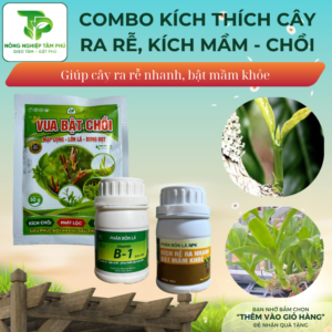 Alternative view of Combo KÍCH RỄ, KÍCH MẦM, KÍCH CHỒI giúp cây ra rễ nhanh, bật chồi khỏe dành cho các loại hoa cây cảnh