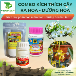 Combo KÍCH HOA, KÍCH CÂY RA HOA, DƯỠNG HOA giúp cây ra hoa, hoa nhiều, dưỡng hoa lâu tàn dành cho các loại hoa cây cảnh