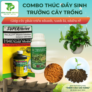 Combo THÚC ĐẨY SINH TRƯỞNG CÂY TRỒNG giúp cây sinh trưởng đều, xanh lá, tốt rễ, sai hoa dành cho các loại hoa cây cảnh