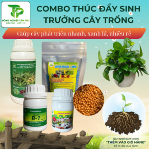 Alternative view of Combo THÚC ĐẨY SINH TRƯỞNG CÂY TRỒNG giúp cây sinh trưởng đều, xanh lá, tốt rễ, sai hoa dành cho các loại hoa cây cảnh
