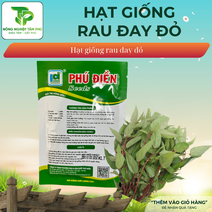Hạt giống rau đay đỏ - Ảnh 2