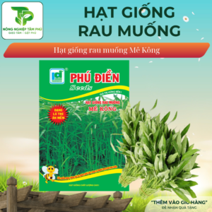Hạt giống rau muống Mê Kông